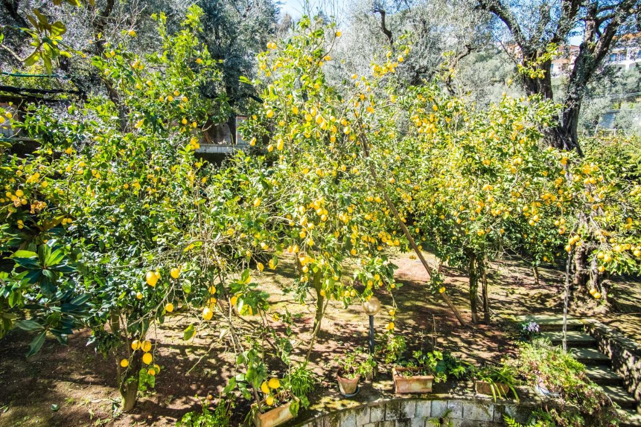 סורנטו Mediterranean House מראה חיצוני תמונה